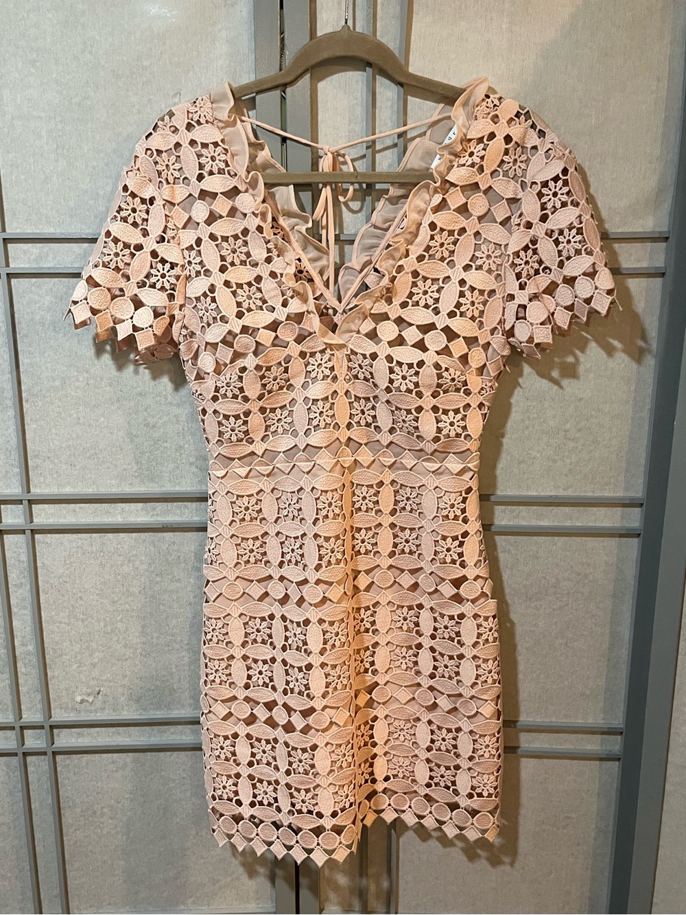 Sandro Blush Guipure Lace Mini Dress XS/S size Fr 1 - Picture 4 of 12